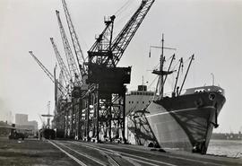 Irish Merchant Ship, Cape Town