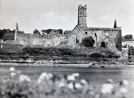 Franciscan Friary, Timoleague, County Cork