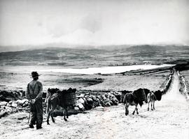 Dunfanaghy, County Donegal