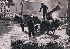 Harvesting in County Fermanagh