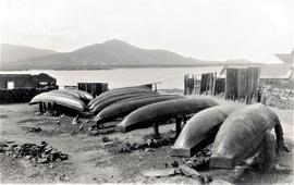 Currachs at Baile-na-nGall, Smerwick Harbour, County Kerry