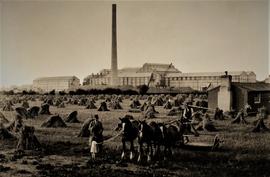Carlow Sugar Beet Factory