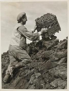 Turf Gatherer