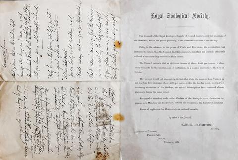 Open original Document numérique