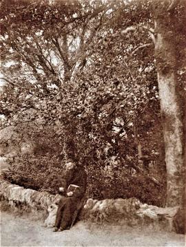Capuchin Friar on a Roadside, County Cork