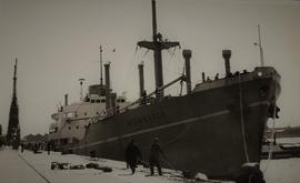 Irish Merchant Ship, Cape Town