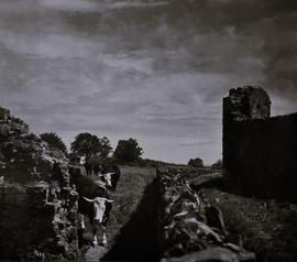 Baldongan Church, County Dublin