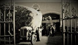 Threshing Corn, Ard Mhuire Friary