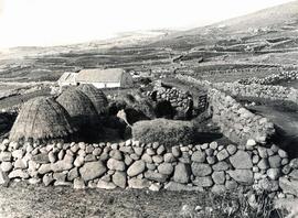 Harvesting, County Donegal