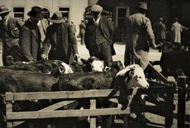 Market Day, Mullingar, County Westmeath