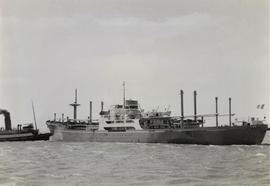Irish Merchant Ship, Cape Town