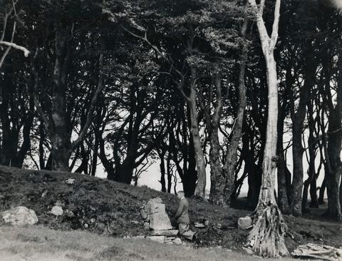 Open original Digital object