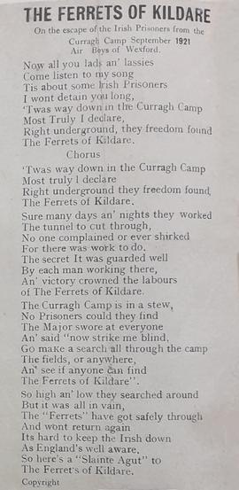 The Ferrets of Kildare