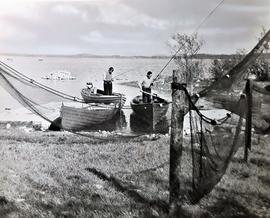 Lough Sheelin, County Cavan