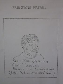 Free State Freaks / Séan Ó Muirthile