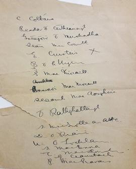 Irish Volunteers’ List