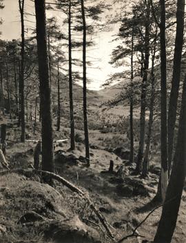 Glenveagh, County Donegal