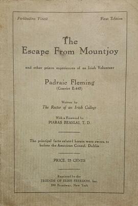 The escape from Mountjoy