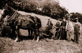 Corn Harvesting, Ard Mhuire Friary