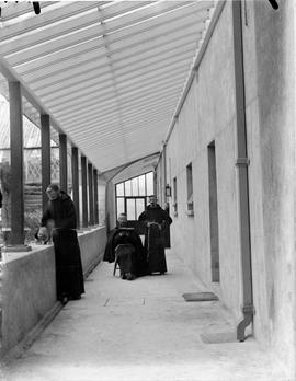 Capuchin Friars, Holy Trinity Friary, Cork