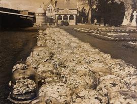 Graves of 1916 Rising Dead in Glasnevin Cemetery