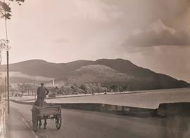 The Road to Rostrevor, County Down