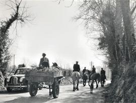 On the Road near Slane, County Meath
