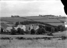 Rochestown Friary, County Cork