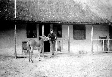 Open original Digital object