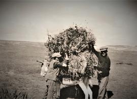 Farmers on Inishmaan