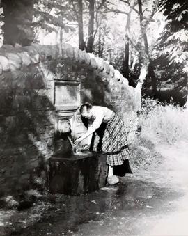 Roadside Spring, County Meath