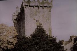 Blarney Castle, County Cork