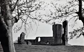 Baldongan Church, County Dublin