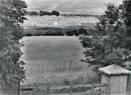 Slievekeale, Waterford City