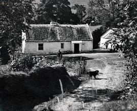 Tyrone Cottage