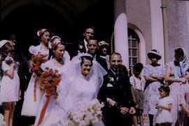 Wedding Party, Cape Town