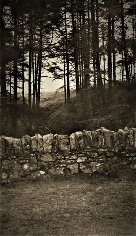 Overlooking Baylough, Clogheen, County Tipperary