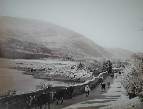 Open original Digital object