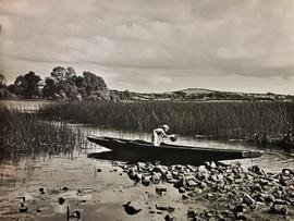 Templeport Lake, County Cavan