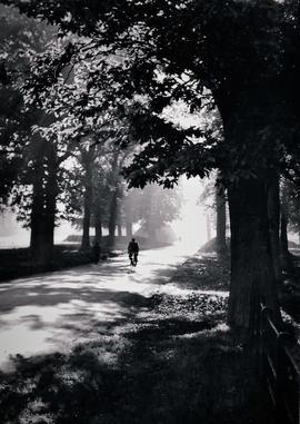 Phoenix Park, Dublin