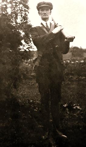 Open original Document numérique