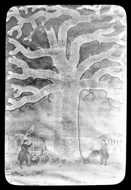 Historical Tree of Ireland