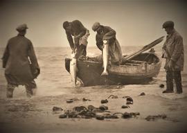 Salmon Fishing, Annagassan, County Louth