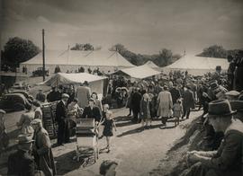 Ballymena Show, County Antrim