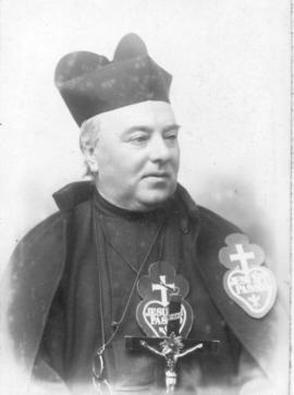 Portrait of Alphonsus O'Neill (third)