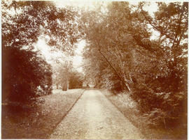 Garden walk looking east towards main entrance