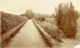 Path to Our Lady's Bower