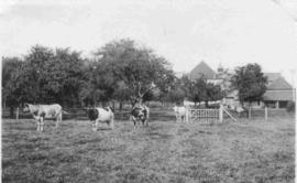 Holy Cross Retreat, Chateau D'Ere (Farm)