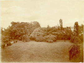 Front garden seen from top corridor